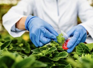Posgrado Maestría en Biotecnología Agropecuaria: una oferta de posgrado innovadora de la UNNE y la Universidad de Valencia