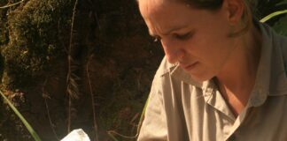 EN LA REGIÓN MESOPOTÁMICA Estudian grupo de plantas poco conocidas para conservar la biodiversidad y monitorear prácticas forestales