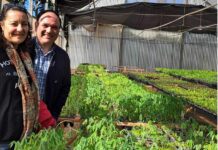 Novedad Editorial Mandioca: formulan propuesta de reconversión productiva que beneficiaría a pequeños productores