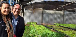 Novedad Editorial Mandioca: formulan propuesta de reconversión productiva que beneficiaría a pequeños productores