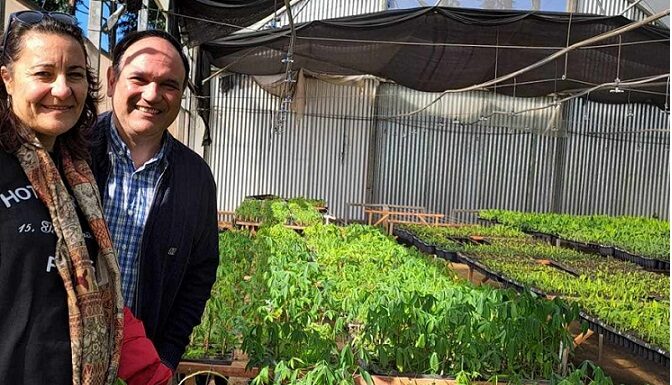 Novedad Editorial Mandioca: formulan propuesta de reconversión productiva que beneficiaría a pequeños productores