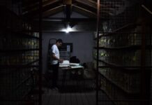 La UNNE presenta su proyecto de restitución de legajos de estudiantes y trabajadores víctimas de la dictadura militar del 76