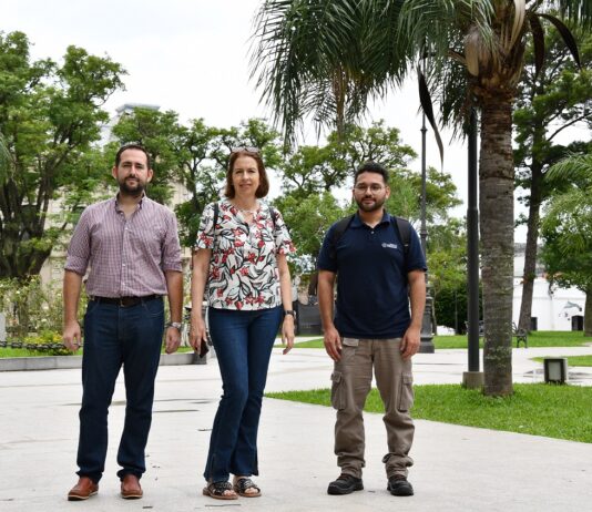 Trabajan en la elaboración de un catálogo de especies nativas del NEA para uso en el paisaje urbano