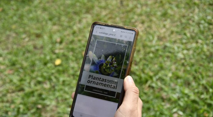 TRABAJO INTERINSTITUCIONAL Elaboran un catálogo de plantas nativas con potencial ornamental para la provincia de Corrientes