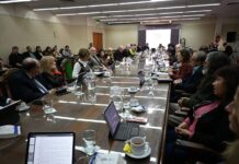 La UNNE aprobó la creación de la carrera de Licenciatura en Trabajo Social