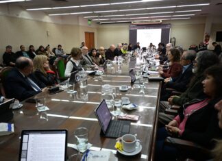 MODALIDAD A DISTANCIA La UNNE aprobó la creación de la carrera de Licenciatura en Trabajo Social
