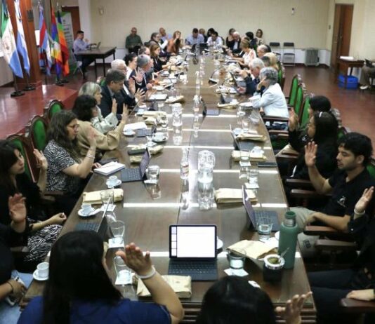 Nuevo programa de la UNNE promueve la integración y participación de sus graduados