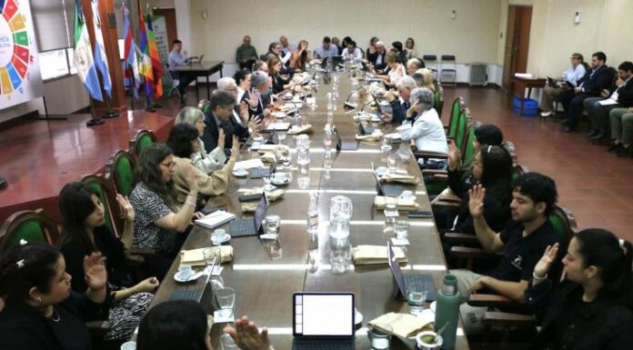 Nuevo programa de la UNNE promueve la integración y participación de sus graduados