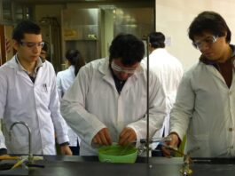 La UNNE otorgará 164 becas para fortalecer la formación en investigación