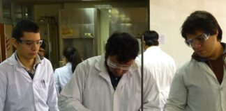 La UNNE otorgará 164 becas para fortalecer la formación en investigación