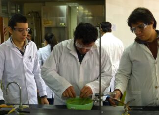 La UNNE otorgará 164 becas para fortalecer la formación en investigación