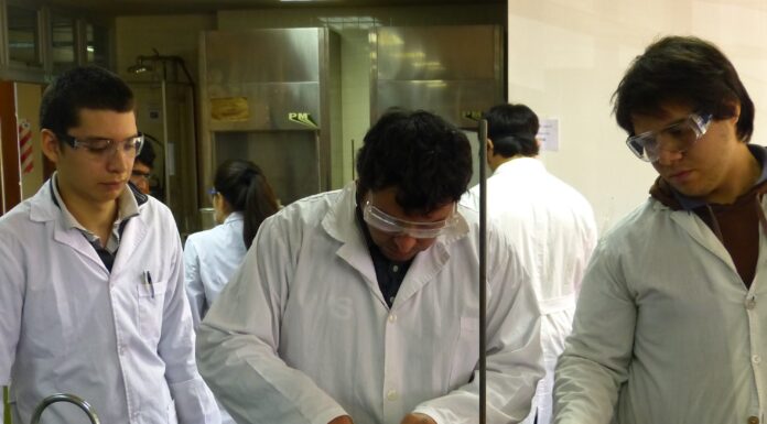 La UNNE otorgará 164 becas para fortalecer la formación en investigación