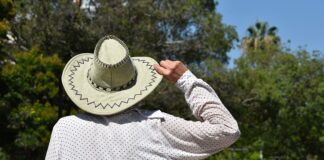 INVESTIGACIÓN UNNE Olas de calor: estudio refleja un progresivo aumento de eventos en las últimas décadas