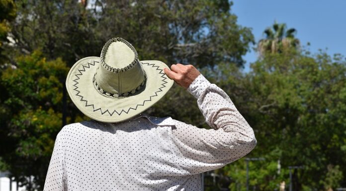 INVESTIGACIÓN UNNE Olas de calor: estudio refleja un progresivo aumento de eventos en las últimas décadas