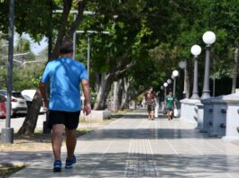 Calor extremo: “Los sistemas de salud deben tener una visión estratégica para los próximos 10 años”