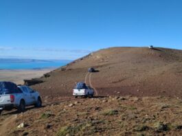 Aporte de CECOAL y UNNE en estudio de insectos que convivieron con los últimos dinosaurios en la Patagonia