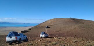 PUBLICADO EN SPRINGER NATURE Y COMMUNICATIONS BIOLOGY Aporte de CECOAL y UNNE en estudio de insectos que convivieron con los últimos dinosaurios en la Patagonia