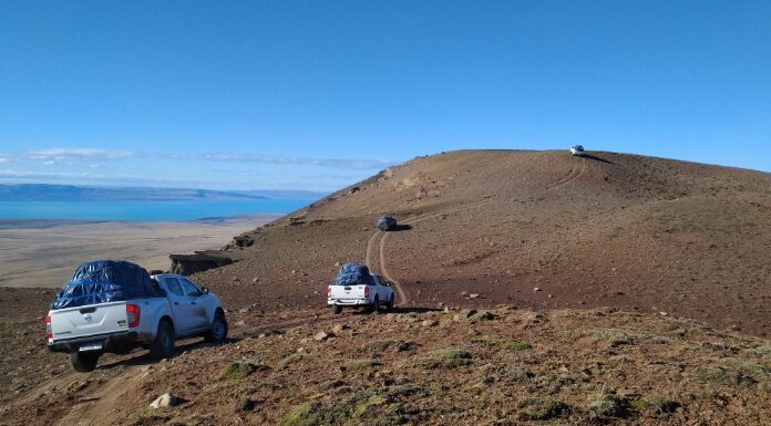 PUBLICADO EN SPRINGER NATURE Y COMMUNICATIONS BIOLOGY Aporte de CECOAL y UNNE en estudio de insectos que convivieron con los últimos dinosaurios en la Patagonia
