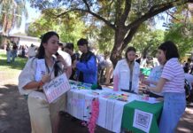 Cuidado de la salud mental: actividades para promover el bienestar integral de la comunidad universitaria