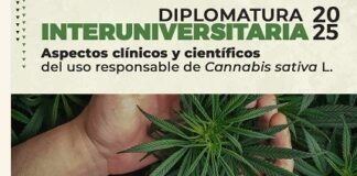 Cannabis: Inscriben a diplomatura interuniversitaria