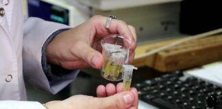 UNNE SALUD Un proyecto de la UNNE articuló esfuerzos para acercar evidencia científica sobre el uso responsable del Cannabis medicinal