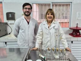 Generarán datos locales sobre qué raza de búfala produce más y mejor calidad de leche