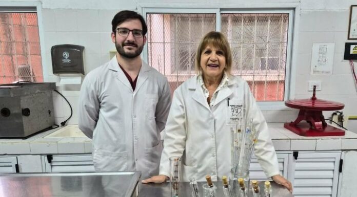 Generarán datos locales sobre qué raza de búfala produce más y mejor calidad de leche