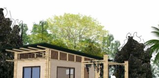 Nuevos Conocimientos La Guadua Chacoensis: alternativa verde para la construcción de viviendas en el NEA