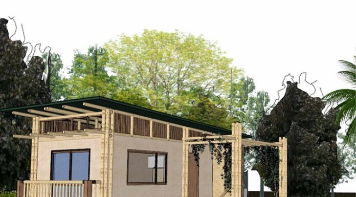 Nuevos Conocimientos La Guadua Chacoensis: alternativa verde para la construcción de viviendas en el NEA