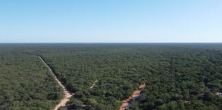 La UNNE aprobó la creación de la Cátedra Libre del Impenetrable Chaqueño