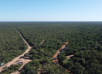 La UNNE aprobó la creación de la Cátedra Libre del Impenetrable Chaqueño