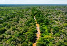 Equipo de Extensión Territorial del CCN visitó el Impenetrable