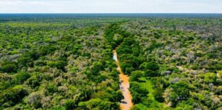 Equipo de Extensión Territorial del CCN visitó el Impenetrable