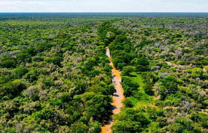 Cauce del río Bermejito, localidad de Villa Río Bermejito, Departamento General Güemes, Provincia del Chaco