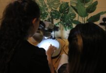 VINCULACIÓN ENTRE NIVELES La UNNE abre sus unidades a las prácticas profesionalizantes de los Institutos de Educación Superior