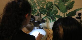 VINCULACIÓN ENTRE NIVELES La UNNE abre sus unidades a las prácticas profesionalizantes de los Institutos de Educación Superior