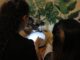 La UNNE abre sus unidades a las prácticas profesionalizantes de los Institutos de Educación Superior