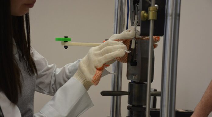 Día de la mujer y la niña en la ciencia: el 57% de los proyectos de investigación en la Unne son dirigidos por mujeres