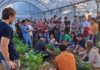 La carrera de Ingeniería Agronómica de la Facultad de Ciencias Agrarias de la UNNE fue acreditada por la CONEAU por seis años