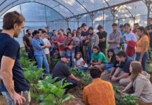 La carrera de Ingeniería Agronómica de la Facultad de Ciencias Agrarias de la UNNE fue acreditada por la CONEAU por seis años