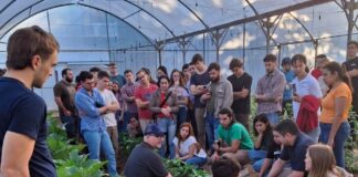 La carrera de Ingeniería Agronómica de la Facultad de Ciencias Agrarias de la UNNE fue acreditada por la CONEAU por seis años