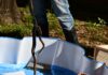 Con un protocolo de manejo, logran marcada reducción de infecciones en serpientes en cautiverio