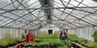 CONSERVACION Y MEJORAMIENTO «Pasturas nativas», el IBONE y FCA-UNNE preservan la mayor colección mundial de especies del género Paspalum