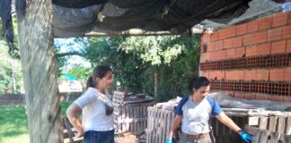 COMPROMISO AMBIENTAL Compostaje de residuos orgánicos en un comedor de la UNNE, una prueba piloto para cuidar el ambiente