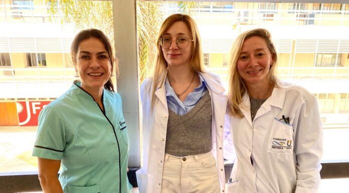 Ciencia y Tecnología Estudian vainas de legumbres cosechadas como posibles fuentes de compuestos bioactivos