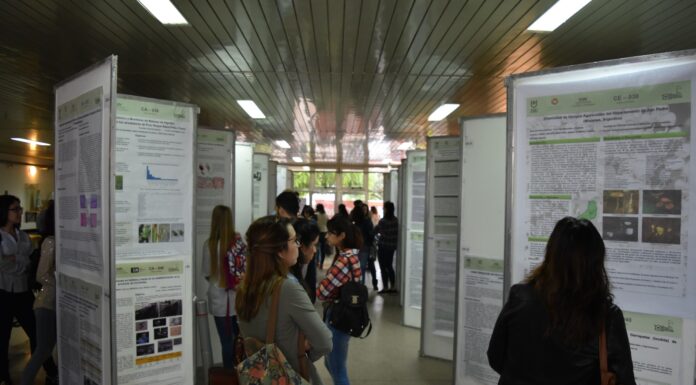 EL 15 Y 16 DE JUNIO Más de 260 trabajos se expondrán en la Reunión de Comunicaciones Científicas y Tecnológicas 2023