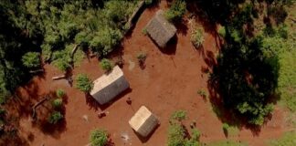 NUEVOS CONOCIMIENTOS La cosmovisión Mbya Guaraní se transforma en videojuego en un proyecto de investigación de co-creación