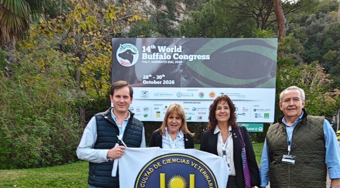 Activa presencia de la UNNE en el 14º Congreso Mundial del Búfalo en Italia