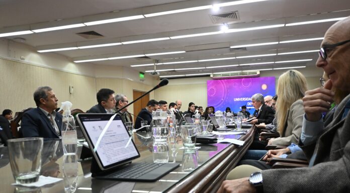 Consejo Superior: asumieron nuevos integrantes de los claustros docente y estudiantil