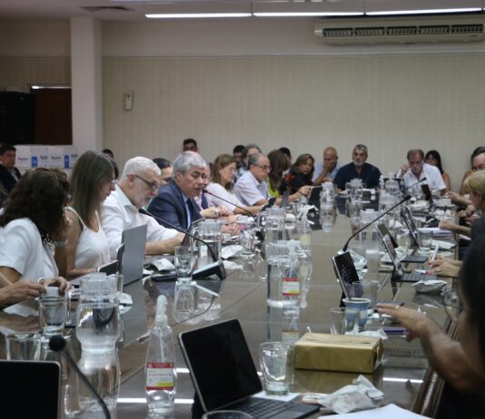 El Consejo Superior de la UNNE abrió sus sesiones con miras a fortalecer objetivos pese a la cuestión presupuestaria